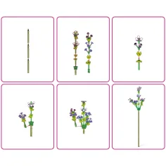 MAX costruzioni rosa immagine 3