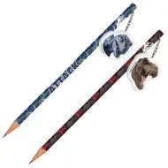 Matita in grafite Jurassic World con gomma in diverse varianti 1 pezzo