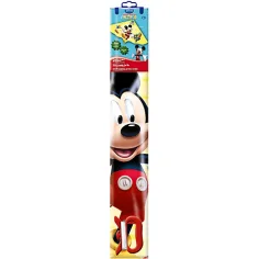 Mickey Mouse deltaplano immagine 2