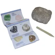 Minerals &amp; Fossils roccia sorpresa
