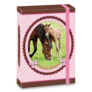 My Horse scatola portafogli A5