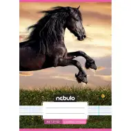 Nebulo: Cavallino al tramonto quaderno a righe per la 4ª classe A/5 21-32