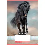 Nebulo: Cavallo nella sabbia quaderno a quadretti A/5 27-32