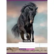 Nebulo: Cavallo nella sabbia quaderno a righe 81-32 A/4