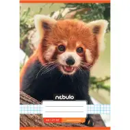 Nebulo: Quaderno a quadretti A/5 27-32 con copertina a scacchi e stampa di panda rosso.