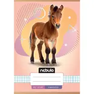 Nebulo: Quaderno a quadretti con motivo di cavalli A/5 27-32