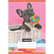 Nebulo: Quaderno a quadretti formato A/5, 27-32, con copertina pinzata e motivo a bulldog francese