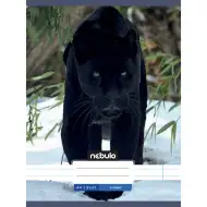Nebulo: Quaderno a righe con graffette - Pantera nera - fantasia animale 81-32 A/4