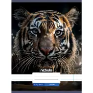Nebulo: Quaderno a righe formato A/4 81-32 con motivo tigre