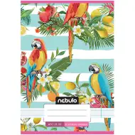 Nebulo: Quaderno a righe formato A/5, 21-32, per la quarta classe, con copertina decorata con pappagalli, rilegatura a punti metallici.