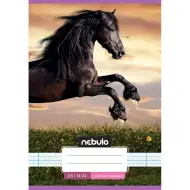 Nebulo: Quaderno a righe per la 1ª classe A5 14-32 con motivo carino - Cavalli