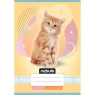Nebulo: Quaderno a righe per la 2ª classe A5 16-32 con animali - Gatti