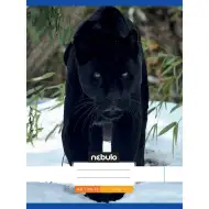 Nebulo: Quaderno cucito a righe, formato A4, 80 pagine, copertina nera con motivo di pantera nera, 32 fogli