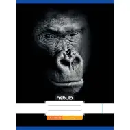 Nebulo: Quaderno punto metallico A/4, 80 fogli, righe semplici, copertina con motivo gorilla