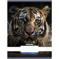 Nebulo: Quaderno semplice Tigris A4 80-32
