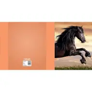 Nebulo: Scatola per quaderni formato A/5 Cavallo nero