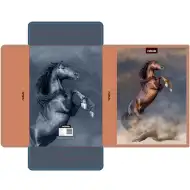 Nebulo: Scatola portadocumenti in cartone ondulato formato A/4 Cavallo grigio