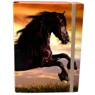 Nebulo: Scatola portaquaderni formato A/5 con motivo di cavallo nero