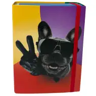 Nebulo: Scatola portaquaderni formato A/5 con una fantastica stampa di bulldog