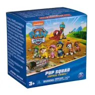 Paw Patrol: Pup Squad mini sorpresa figura - Spin Master