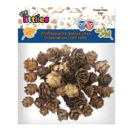 Pigne di pino essiccate 20gr