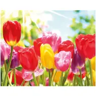 Pittura diamante: Set di pittura con diamanti con tulipani 40x50 cm