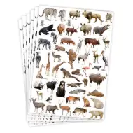 PlayBox: Adesivi di animali selvatici 300 pezzi