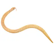 PlayBox: Set di 6 serpenti di legno