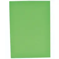 PlayBox: Set di cartoncini verdi formato A4, set da 25 pezzi, 180gr