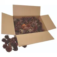 PlayBox: Set di pigne 125 pezzi