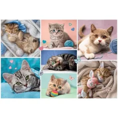 Puzzle 100 pezzi con gatti - Trefl immagine 2
