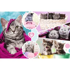 Puzzle 160 pezzi - Gatti carini - Trefl immagine 2