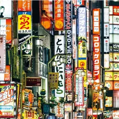 Puzzle 250 pezzi con cornice "Luci di Tokyo" - Clementoni immagine 2
