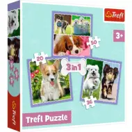 Puzzle 3 in 1 con cagnolini carini 50-36-20 pezzi - Trefl