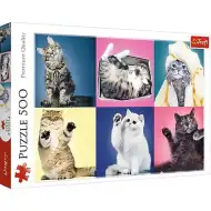 Puzzle 500 pezzi con gatti - Trefl
