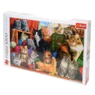 Puzzle da 1000 pezzi "Incontro di gatti" - Trefl