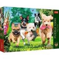Puzzle premium da 1000 pezzi "Kutyabrigád" - Trefl