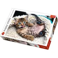 Puzzle premium da 1000 pezzi con gattino allegro - Trefl