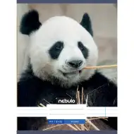 Quaderno a righe formato A4 81-32 con motivo panda