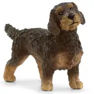 Schleich: Bassotto a pelo duro figura (13972)