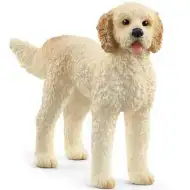 Schleich: Figura Goldendoodle (13939)
