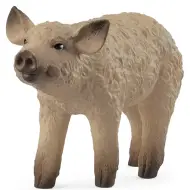 Schleich: Figura di maialino Mangalica (14893)