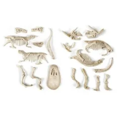 Science&Play: Archeofun T-rex e Triceratops luminosi set da archeologo - Clementoni immagine 3