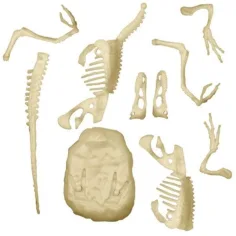 Science&Play: Archeofun Velociraptor Luminoso set da archeologo - Clementoni immagine 3