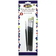 Set di pennelli 5 pezzi
