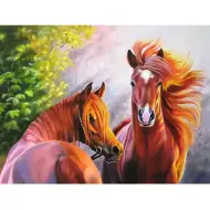 Set di pittura con diamanti: Cavalli 40x50cm