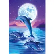 Set di pittura con diamanti: Delfini 10x15cm