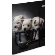 Spirit: Cartella in cartone gommato per cuccioli A4 600g