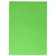 Spirit: Cartoncino decorativo verde 70x100cm 220g