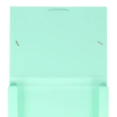 Spirit: Scatola portadocumenti elastica verde pastello A4 con spessore di 30 mm immagine 2